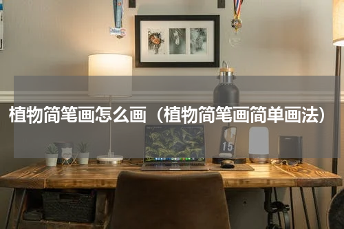 植物简笔画怎么画（植物简笔画简单画法）