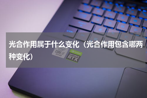 光合作用属于什么变化（光合作用包含哪两种变化）