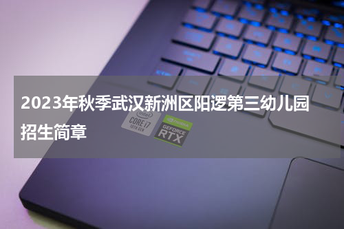 2023年秋季武汉新洲区阳逻第三幼儿园招生简章