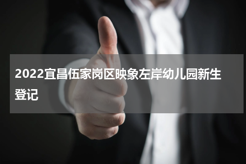 2022宜昌伍家岗区映象左岸幼儿园新生登记