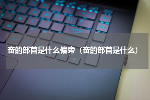 奋的部首是什么偏旁（奋的部首是什么）