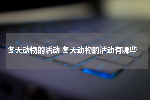 冬天动物的活动 冬天动物的活动有哪些