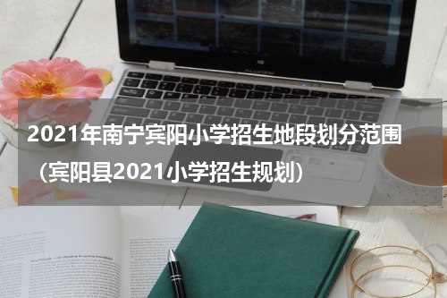 2021年南宁宾阳小学招生地段划分范围（宾阳县2021小学招生规划）