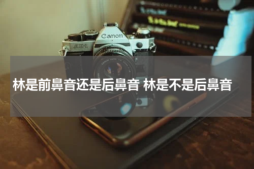 林是前鼻音还是后鼻音 林是不是后鼻音