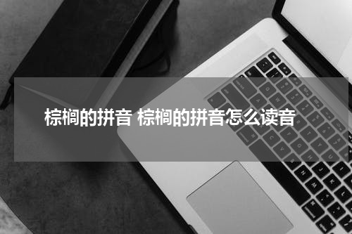 棕榈的拼音 棕榈的拼音怎么读音