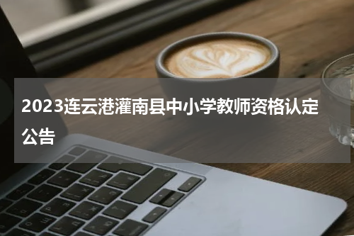 2023连云港灌南县中小学教师资格认定公告