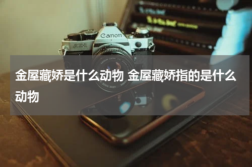 金屋藏娇是什么动物 金屋藏娇指的是什么动物
