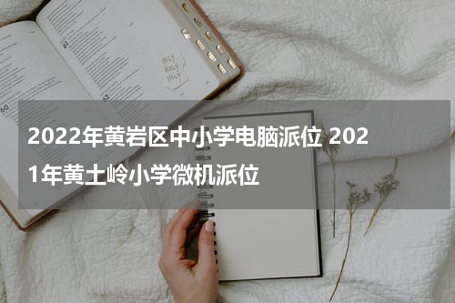 小升初择校方式之电脑派位