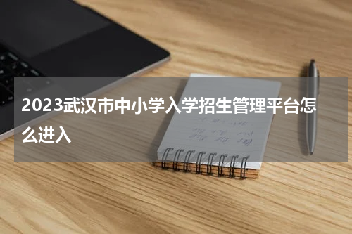 2023武汉市中小学入学招生管理平台怎么进入