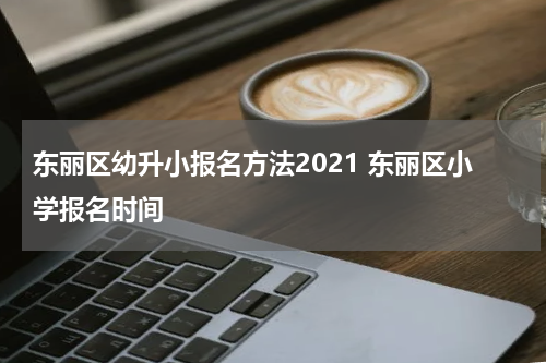 东丽区幼升小报名方法2021 东丽区小学报名时间