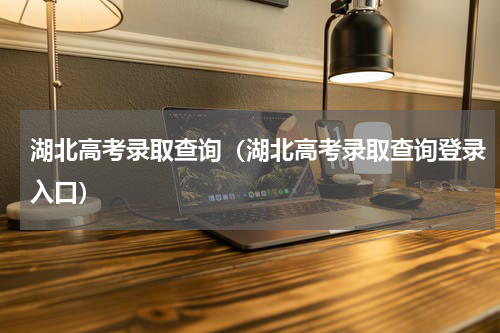 湖北高考录取查询（湖北高考录取查询登录入口）