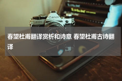 春望杜甫翻译赏析和诗意 春望杜甫古诗翻译