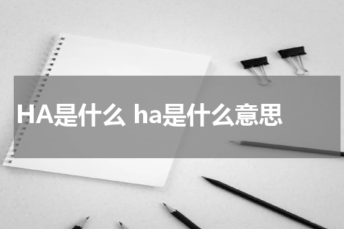HA是什么 ha是什么意思