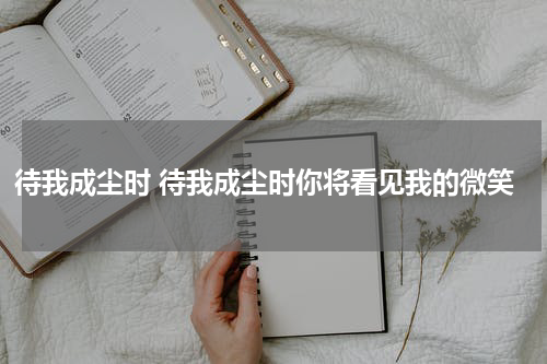 待我成尘时 待我成尘时你将看见我的微笑