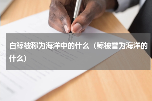 白鲸被称为海洋中的什么（鲸被誉为海洋的什么）
