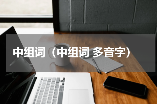 中组词（中组词 多音字）