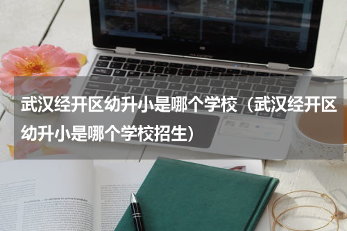 武汉经开区幼升小是哪个学校（武汉经开区幼升小是哪个学校招生）