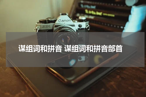 谋组词和拼音 谋组词和拼音部首