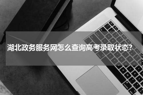湖北政务服务网怎么查询高考录取状态？