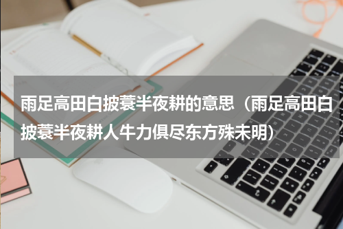 雨足高田白披蓑半夜耕的意思（雨足高田白披蓑半夜耕人牛力俱尽东方殊未明）