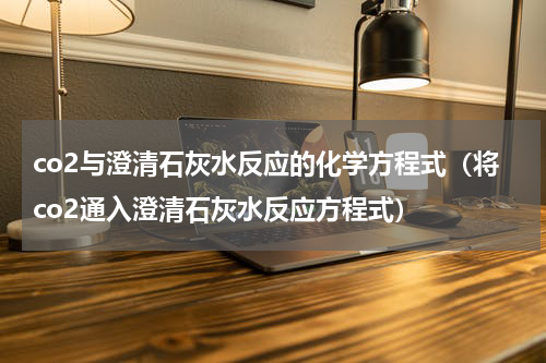 co2与澄清石灰水反应的化学方程式（将co2通入澄清石灰水反应方程式）