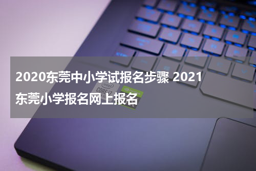 2020东莞中小学试报名步骤 2021东莞小学报名网上报名