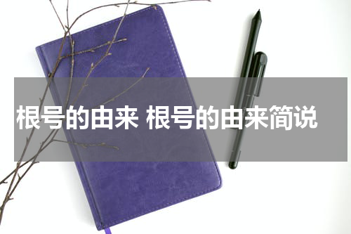 根号的由来 根号的由来简说