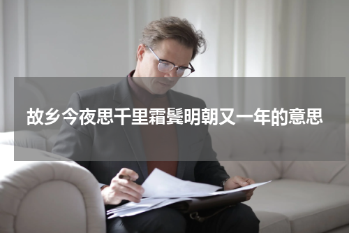故乡今夜思千里霜鬓明朝又一年的意思