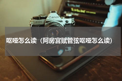 呕哑怎么读（阿房宫赋管弦呕哑怎么读）