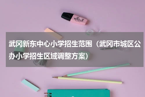 武冈新东中心小学招生范围（武冈市城区公办小学招生区域调整方案）