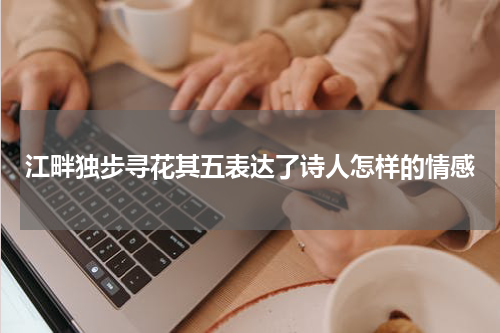 江畔独步寻花其五表达了诗人怎样的情感