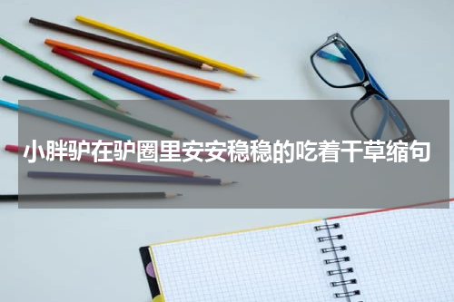 小胖驴在驴圈里安安稳稳的吃着干草缩句