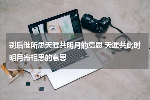 别后惟所思天涯共明月的意思 天涯共此时明月寄相思的意思