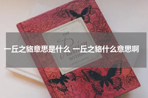 一丘之貉意思是什么 一丘之貉什么意思啊