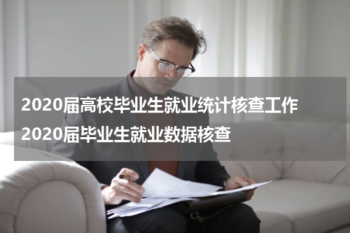 2020届高校毕业生就业统计核查工作 2020届毕业生就业数据核查