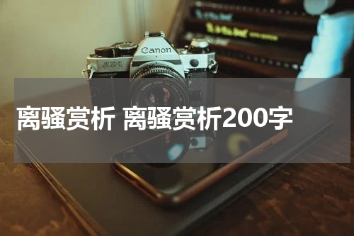 离骚赏析 离骚赏析200字