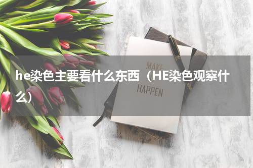 he染色主要看什么东西（HE染色观察什么）
