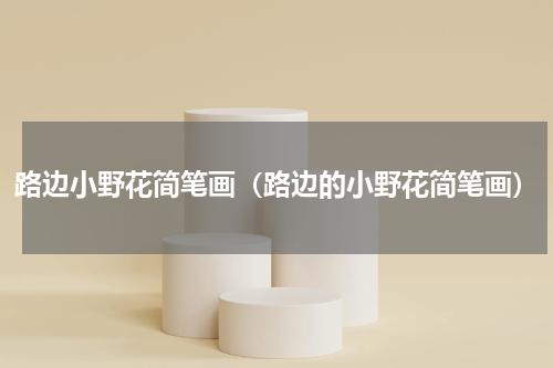 路边小野花简笔画（路边的小野花简笔画）