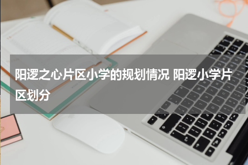 阳逻之心片区小学的规划情况 阳逻小学片区划分