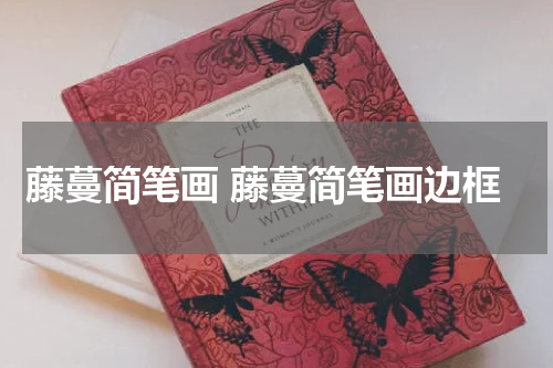 藤蔓简笔画 藤蔓简笔画边框