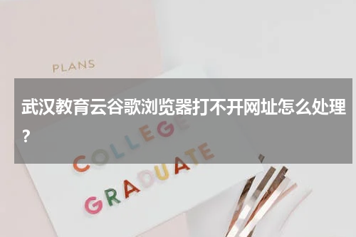 武汉教育云谷歌浏览器打不开网址怎么处理？