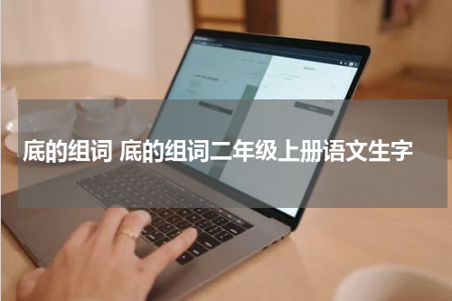 底的组词 底的组词二年级上册语文生字