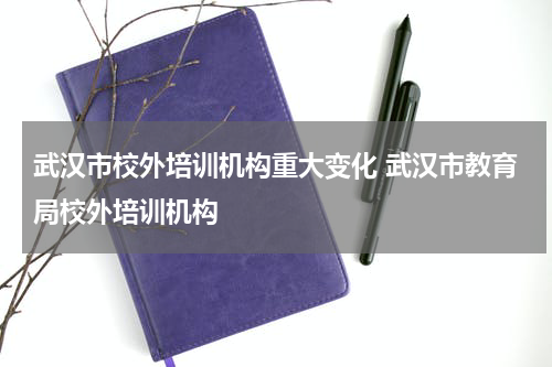 武汉市校外培训机构重大变化 武汉市教育局校外培训机构