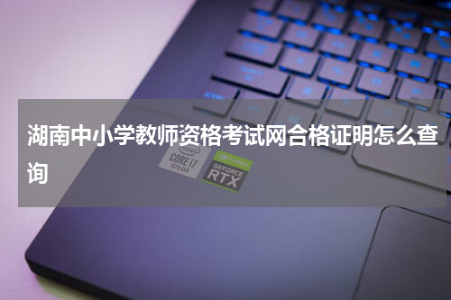 湖南中小学教师资格考试网合格证明怎么查询