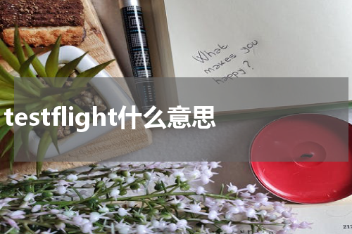 testflight什么意思