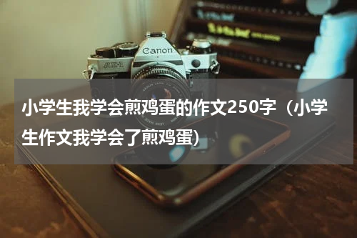 小学生我学会煎鸡蛋的作文250字（小学生作文我学会了煎鸡蛋）