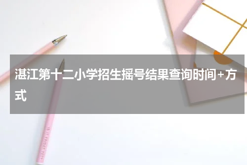 湛江第十二小学招生摇号结果查询时间+方式