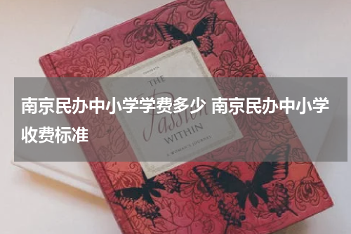 南京民办中小学学费多少 南京民办中小学收费标准