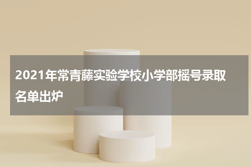 2021年常青藤实验学校小学部摇号录取名单出炉