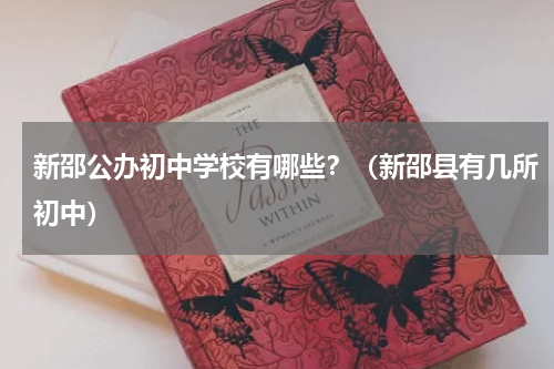 新邵公办初中学校有哪些？（新邵县有几所初中）